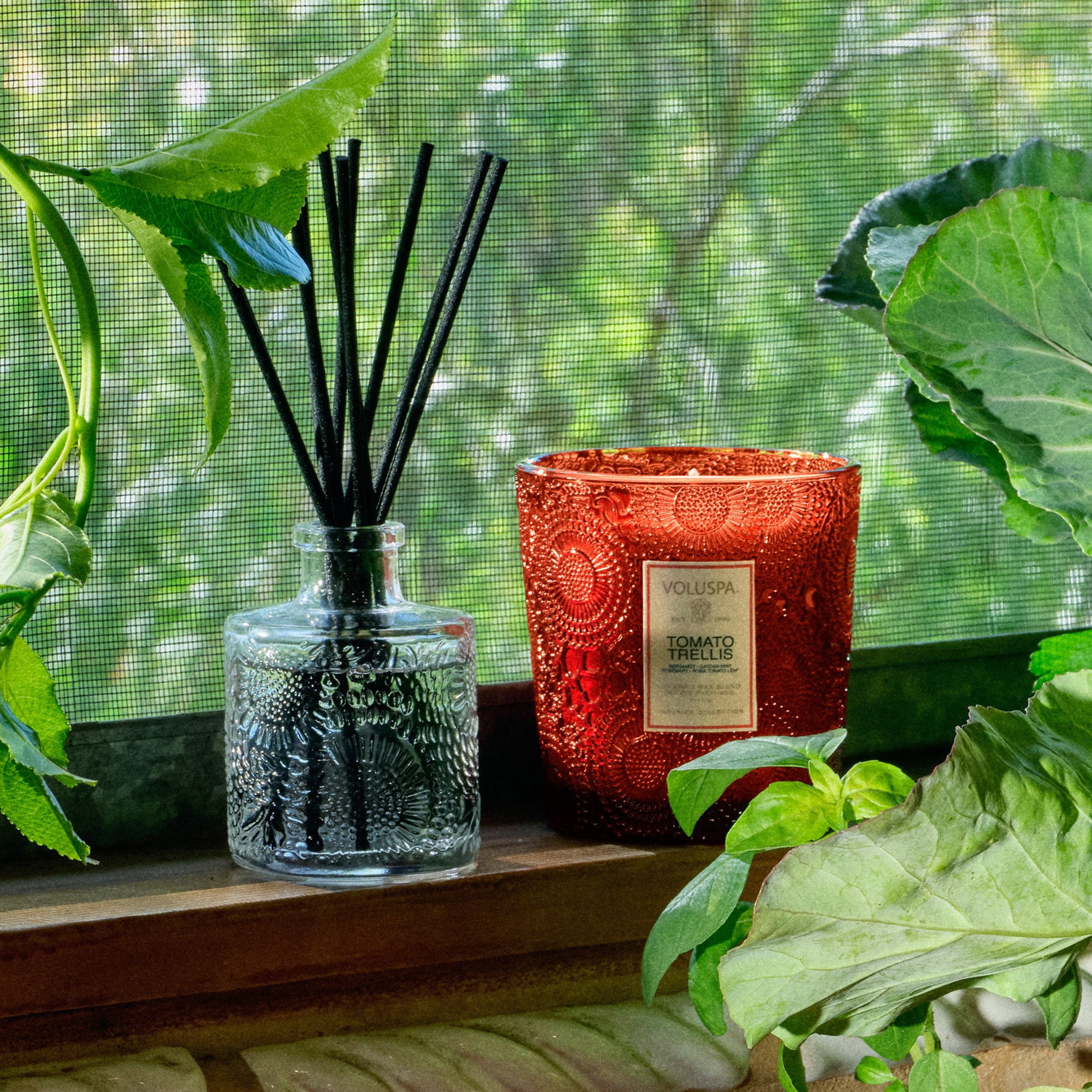 Alternative view of Tomato Trellis - Classic Candle