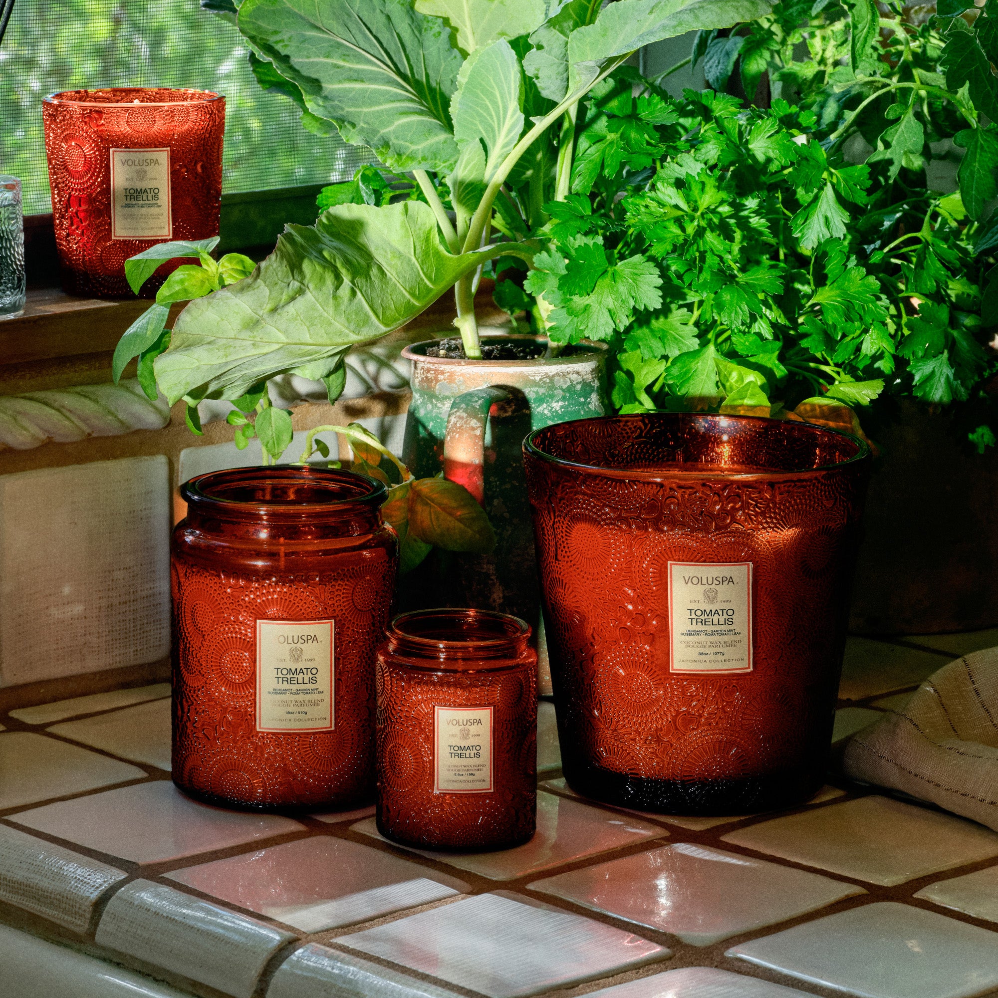 Tomato Trellis - 3 Wick Hearth Candle - Image 4