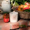 Tomato Trellis - Ceramic Luxe Classic Candle - Image 3