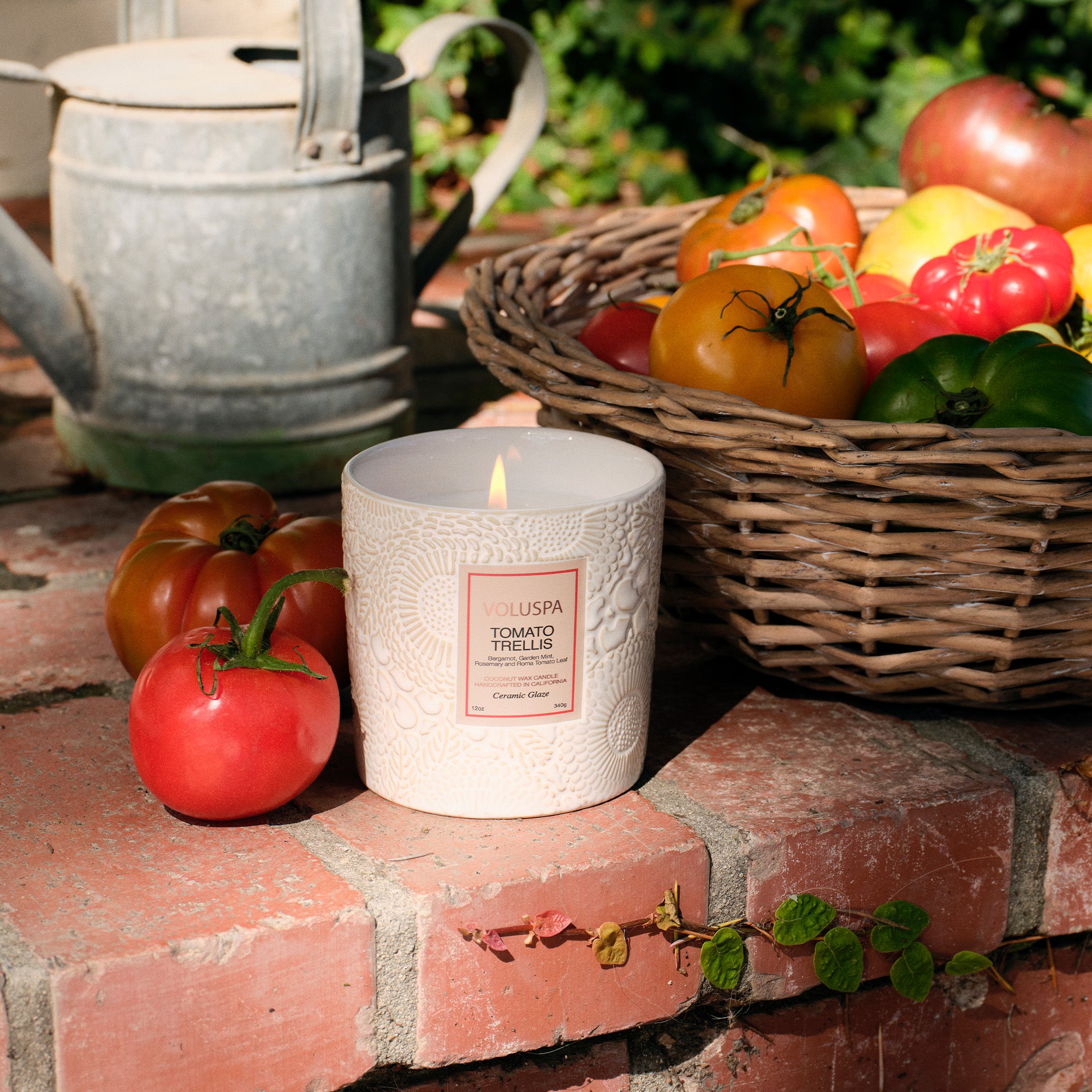 Tomato Trellis - Ceramic Luxe Classic Candle - Image 3