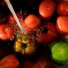 Tomato Trellis - Small Jar Candle - Image 3