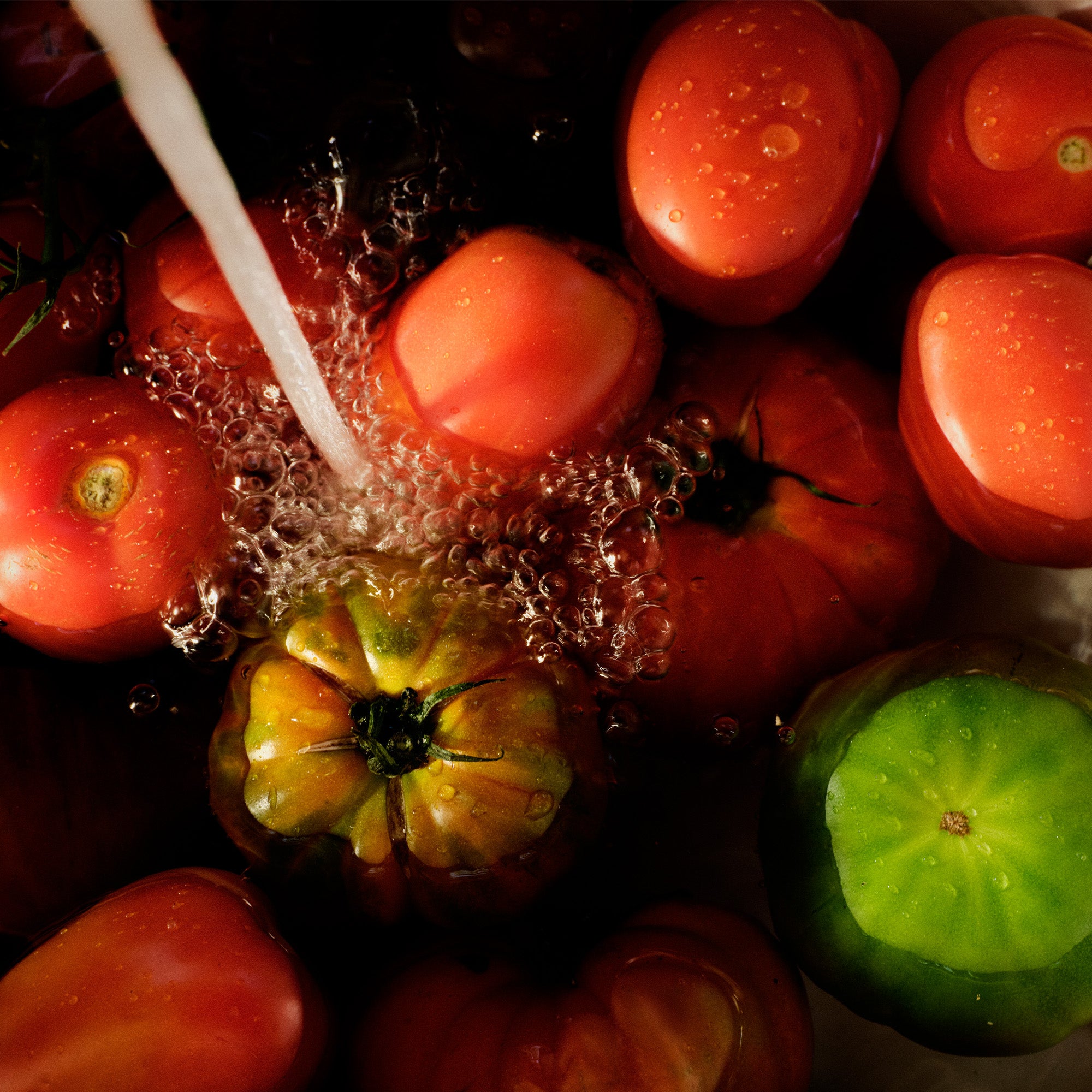 Tomato Trellis - Small Jar Candle - Image 3