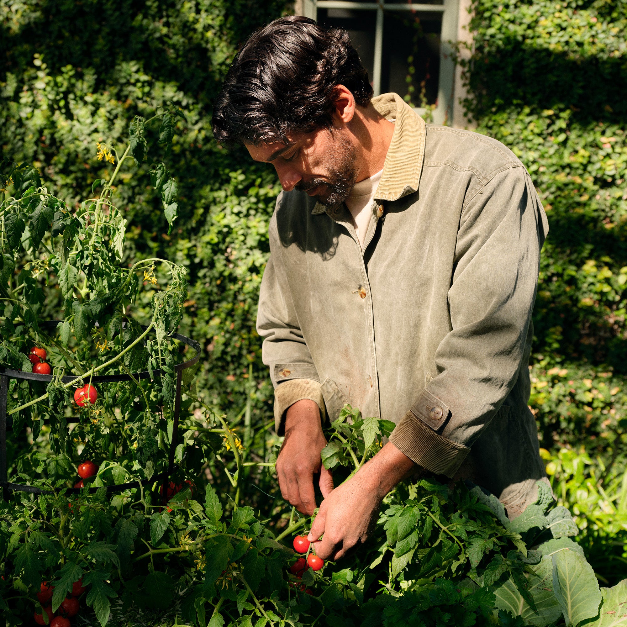 Tomato Trellis - Room Spray - Image 4